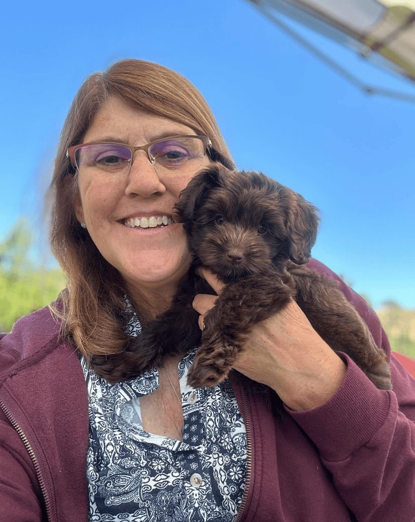 woman holding chocolate labradoodle